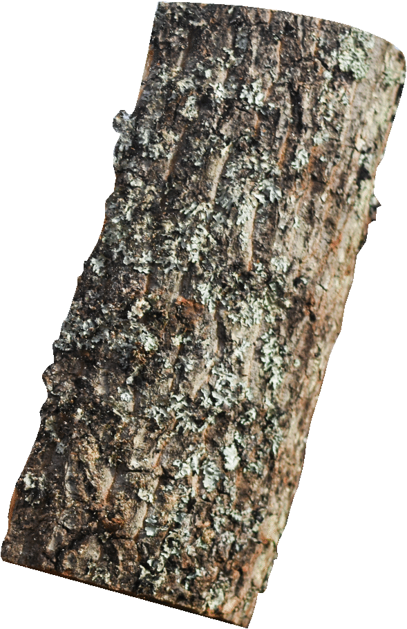 Blok hout
